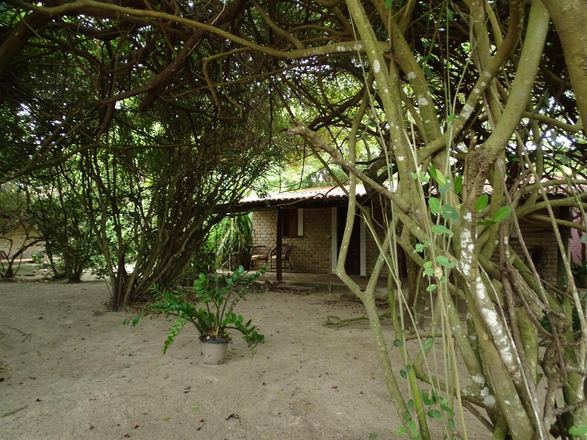 Jungle House 호텔 상 미구엘 도 고스토조 외부 사진
