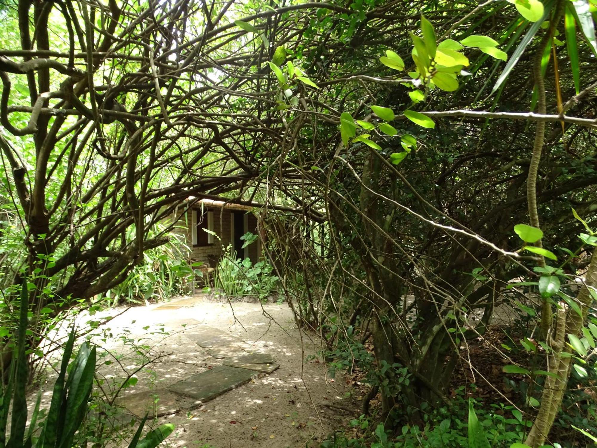 Jungle House 호텔 상 미구엘 도 고스토조 외부 사진