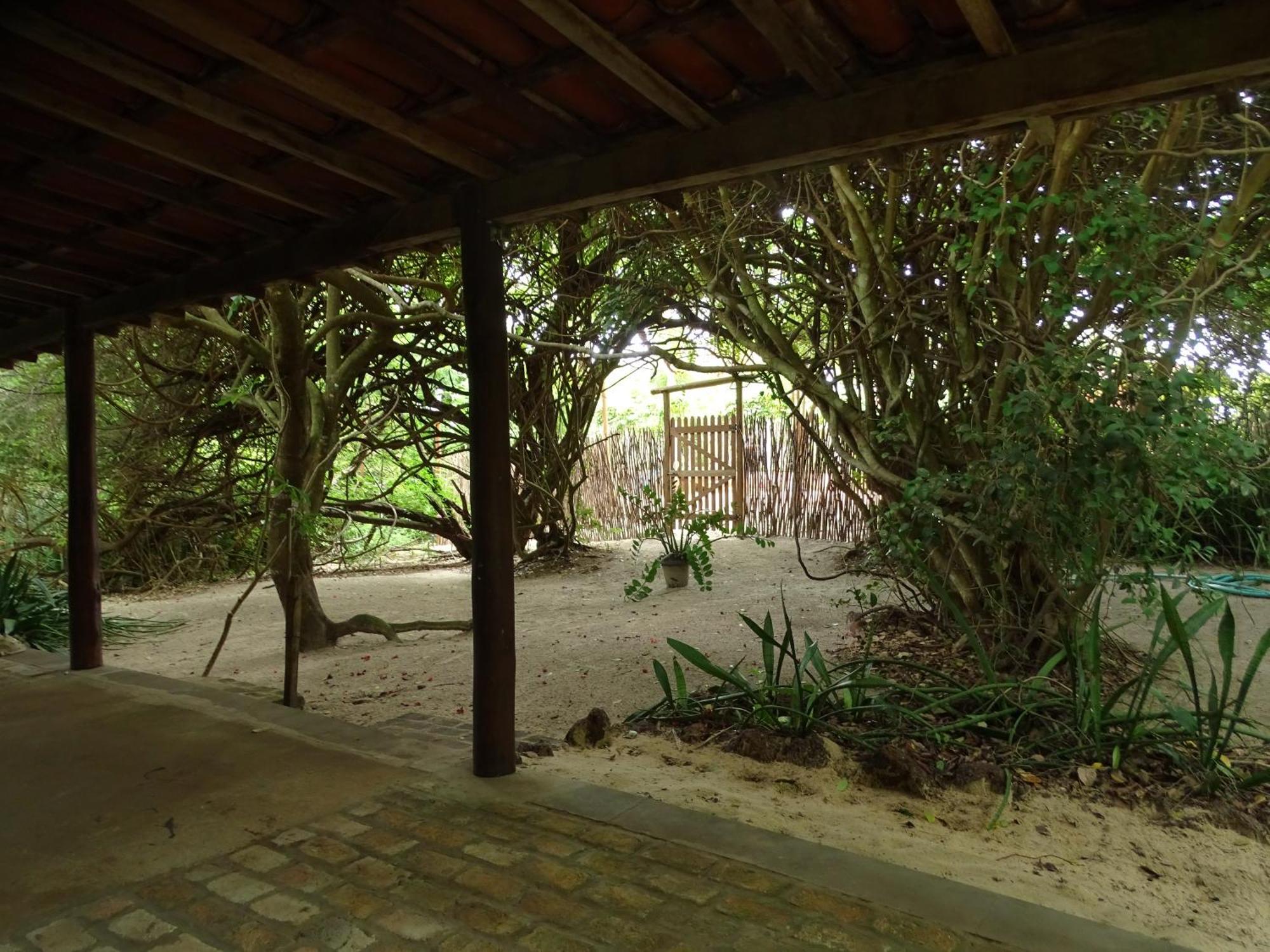 Jungle House 호텔 상 미구엘 도 고스토조 외부 사진
